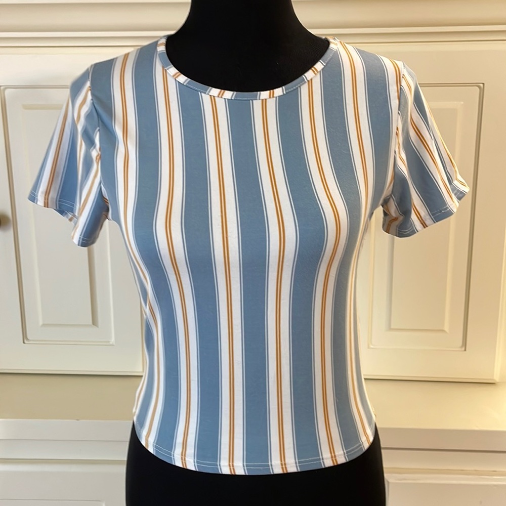 LIVE IN THE MOMENT vertical striped cropped top. Size small. Blue, cream & tan.